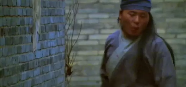 杨天纵联手戚继光城内围剿倭寇，《抗倭侠侣》第二十八集播出 _ 细节速览