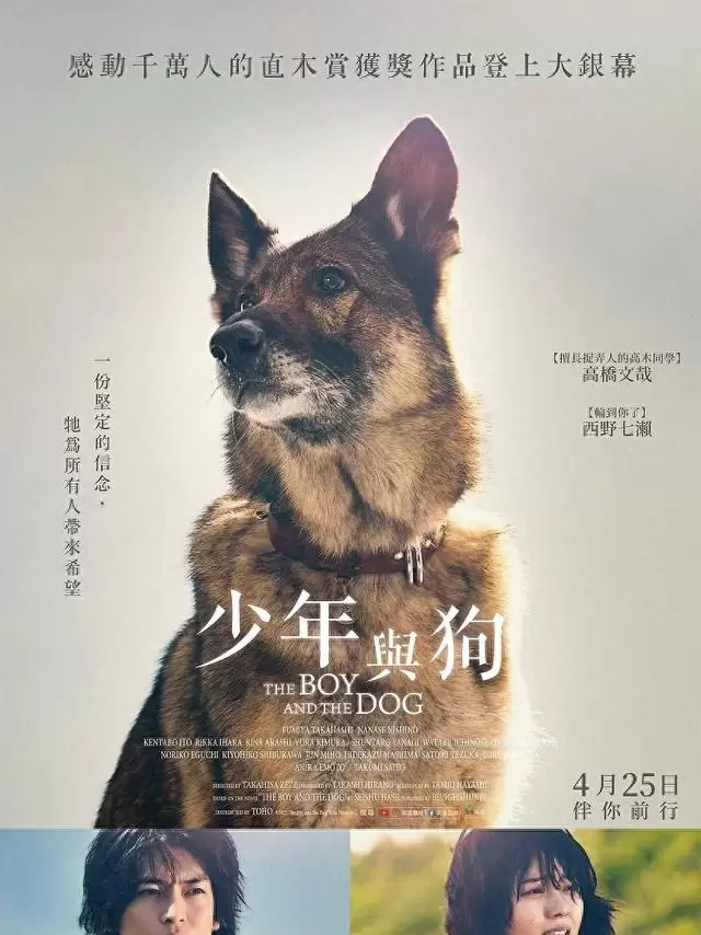 《少年与犬》改编自直木奖小说，德国牧羊犬多闻六千里寻约 _ 细节速览