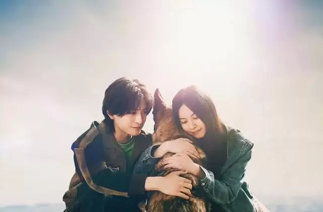 《少年与犬》改编自直木奖小说，德国牧羊犬多闻六千里寻约 _ 资讯配图